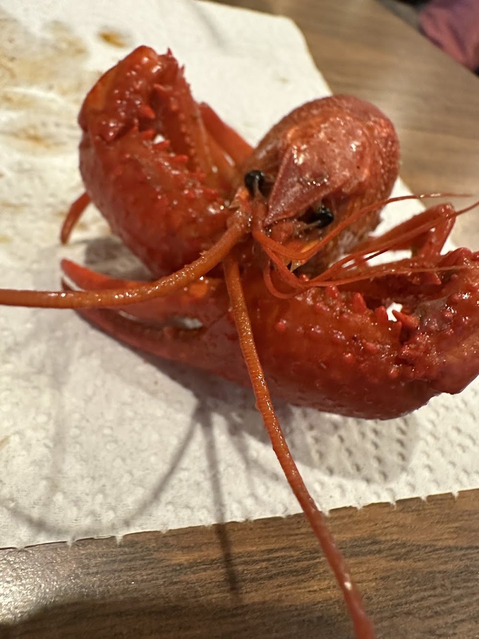 Chicken Lollipop